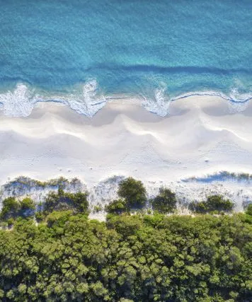 South Coast